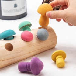 mushroom matching toys