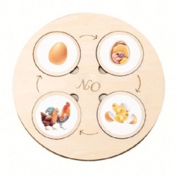 Life Cycle Board Toy