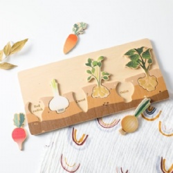 Children's Vegetable Planting Game