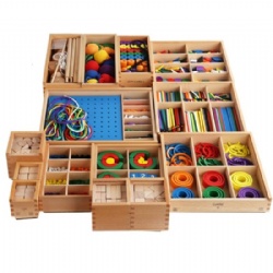 5 in 1 Froebel Puzzle Toys