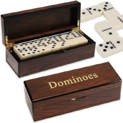 domino games sets with case
